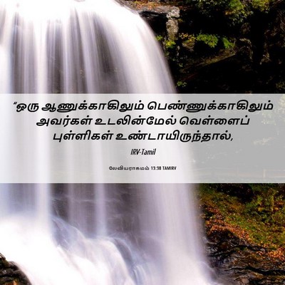 Picture 06 - லேவியராகமம் 13:38 TAMIRV - “ஒரு - Bible Verse Picture