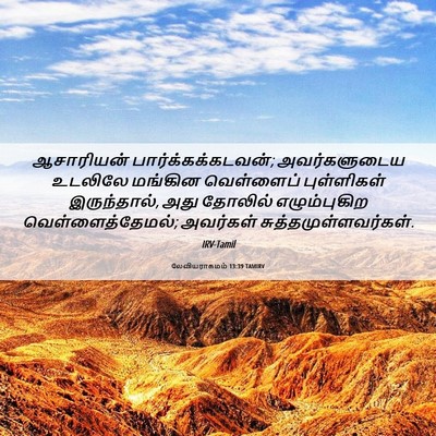 Picture 06 - லேவியராகமம் 13:39 TAMIRV - ஆசாரியன் - Bible Verse Picture