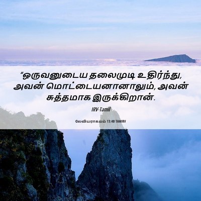 Picture 06 - லேவியராகமம் 13:40 TAMIRV - “ஒருவனுடைய - Bible Verse Picture
