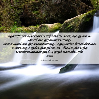 Picture 06 - லேவியராகமம் 13:43 TAMIRV - ஆசாரியன் அவனைப் - Bible Verse Picture