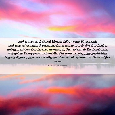 Picture 06 - லேவியராகமம் 13:52 TAMIRV - அந்த பூசணம் - Bible Verse Picture
