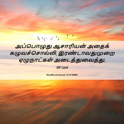 Picture 06 - லேவியராகமம் 13:54 TAMIRV - அப்பொழுது - Bible Verse Picture