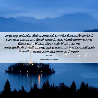 Picture 06 - லேவியராகமம் 13:55 TAMIRV - அது - Bible Verse Picture