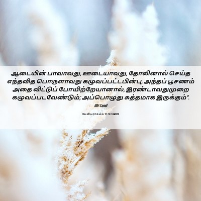 Picture 06 - லேவியராகமம் 13:58 TAMIRV - ஆடையின் பாவாவது, - Bible Verse Picture