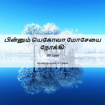 Picture 06 - லேவியராகமம் 14:1 TAMIRV - பின்னும் யெகோவா - Bible Verse Picture