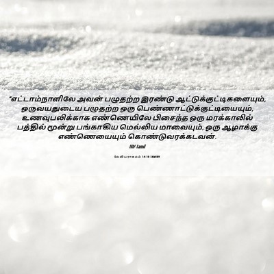 Picture 06 - லேவியராகமம் 14:10 TAMIRV - “எட்டாம்நாளிலே - Bible Verse Picture