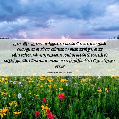 Picture 06 - லேவியராகமம் 14:16 TAMIRV - தன் இடதுகையிலுள்ள - Bible Verse Picture