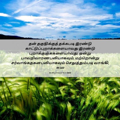 Picture 06 - லேவியராகமம் 14:22 TAMIRV - தன் தகுதிக்குத் - Bible Verse Picture