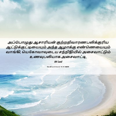 Picture 06 - லேவியராகமம் 14:24 TAMIRV - அப்பொழுது - Bible Verse Picture