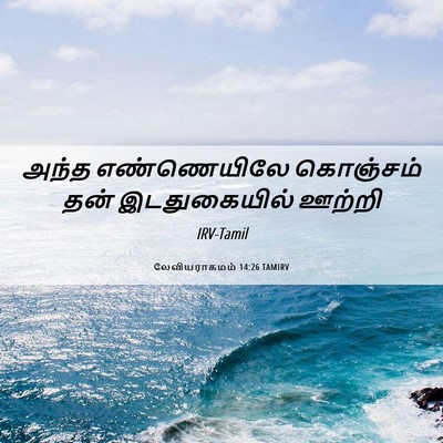 Picture 06 - லேவியராகமம் 14:26 TAMIRV - அந்த எண்ணெயிலே - Bible Verse Picture