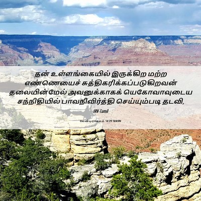 Picture 06 - லேவியராகமம் 14:29 TAMIRV - தன் உள்ளங்கையில் - Bible Verse Picture