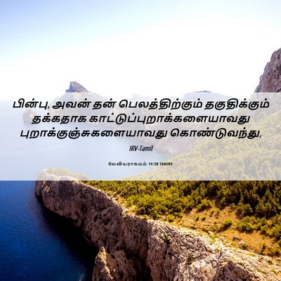 Picture 06 - லேவியராகமம் 14:30 TAMIRV - பின்பு, அவன் தன் - Bible Verse Picture