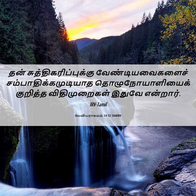 Picture 06 - லேவியராகமம் 14:32 TAMIRV - தன் - Bible Verse Picture