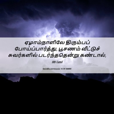 Picture 06 - லேவியராகமம் 14:39 TAMIRV - ஏழாம்நாளிலே - Bible Verse Picture