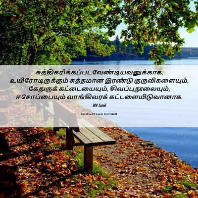 Picture 06 - லேவியராகமம் 14:4 TAMIRV -  - Bible Verse Picture