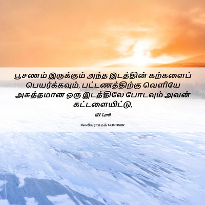 Picture 06 - லேவியராகமம் 14:40 TAMIRV - பூசணம் இருக்கும் - Bible Verse Picture