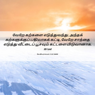 Picture 06 - லேவியராகமம் 14:42 TAMIRV - வேறே கற்களை - Bible Verse Picture