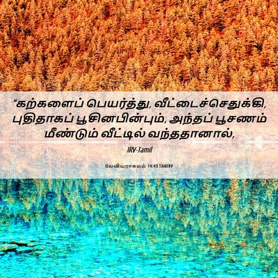 Picture 06 - லேவியராகமம் 14:43 TAMIRV - “கற்களைப் - Bible Verse Picture