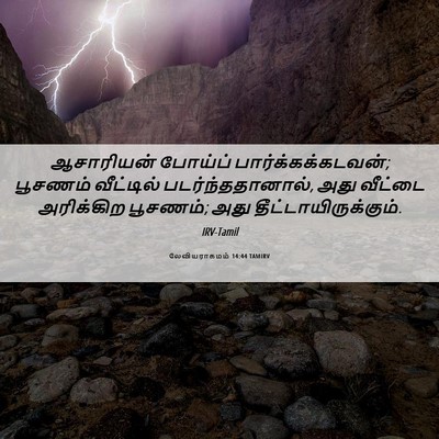 Picture 06 - லேவியராகமம் 14:44 TAMIRV - ஆசாரியன் போய்ப் - Bible Verse Picture
