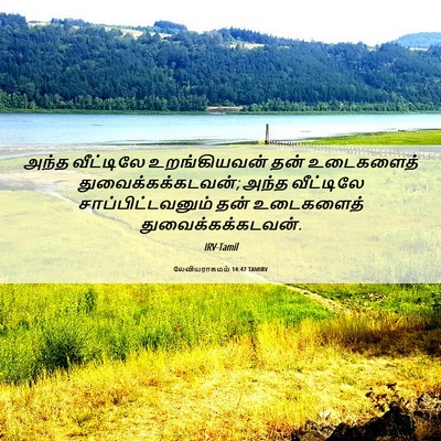 Picture 06 - லேவியராகமம் 14:47 TAMIRV - அந்த வீட்டிலே - Bible Verse Picture