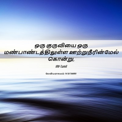 Picture 06 - லேவியராகமம் 14:50 TAMIRV - ஒரு குருவியை ஒரு - Bible Verse Picture
