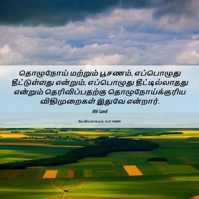 Picture 06 - லேவியராகமம் 14:57 TAMIRV - தொழுநோய் மற்றும் - Bible Verse Picture