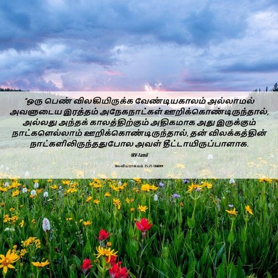 Picture 06 - லேவியராகமம் 15:25 TAMIRV - “ஒரு பெண் - Bible Verse Picture