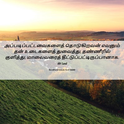 Picture 06 - லேவியராகமம் 15:27 TAMIRV -  - Bible Verse Picture