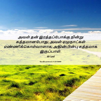 Picture 06 - லேவியராகமம் 15:28 TAMIRV - அவள் தன் - Bible Verse Picture