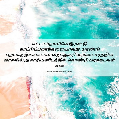 Picture 06 - லேவியராகமம் 15:29 TAMIRV - எட்டாம்நாளிலே - Bible Verse Picture