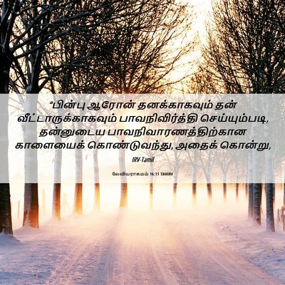 Picture 06 - லேவியராகமம் 16:11 TAMIRV - “பின்பு ஆரோன் - Bible Verse Picture