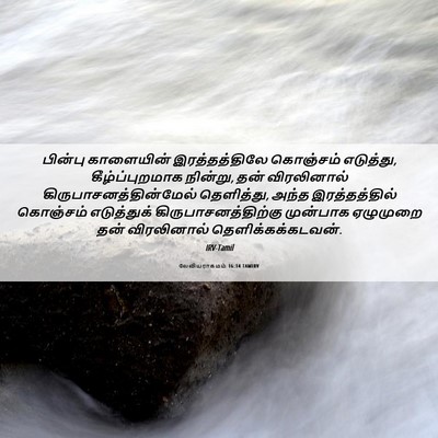 Picture 06 - லேவியராகமம் 16:14 TAMIRV - பின்பு காளையின் - Bible Verse Picture