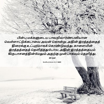 Picture 06 - லேவியராகமம் 16:15 TAMIRV - பின்பு மக்களுடைய - Bible Verse Picture