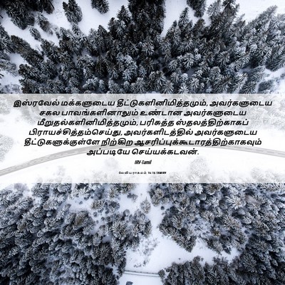 Picture 06 - லேவியராகமம் 16:16 TAMIRV - இஸ்ரவேல் - Bible Verse Picture