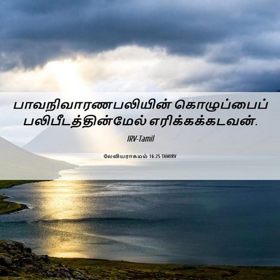 Picture 06 - லேவியராகமம் 16:25 TAMIRV - பாவநிவாரணபலியின் - Bible Verse Picture