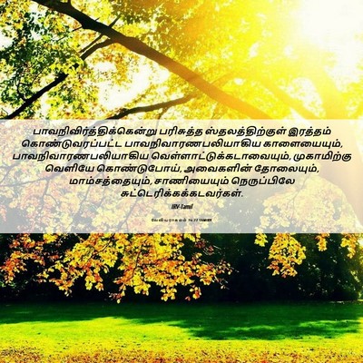Picture 06 - லேவியராகமம் 16:27 TAMIRV -  - Bible Verse Picture