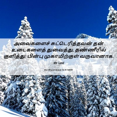Picture 06 - லேவியராகமம் 16:28 TAMIRV - அவைகளைச் - Bible Verse Picture