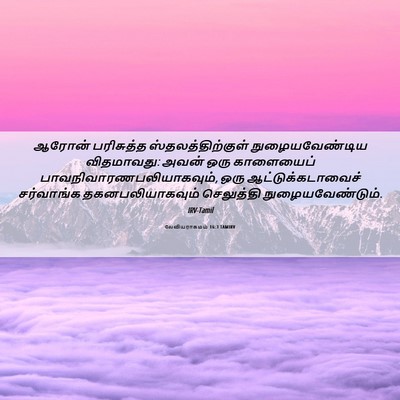 Picture 06 - லேவியராகமம் 16:3 TAMIRV - ஆரோன் பரிசுத்த - Bible Verse Picture
