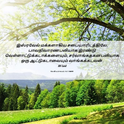 Picture 06 - லேவியராகமம் 16:5 TAMIRV - இஸ்ரவேல் - Bible Verse Picture