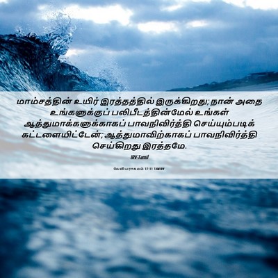 Picture 06 - லேவியராகமம் 17:11 TAMIRV - மாம்சத்தின் உயிர் - Bible Verse Picture