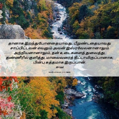 Picture 06 - லேவியராகமம் 17:15 TAMIRV - தானாக - Bible Verse Picture