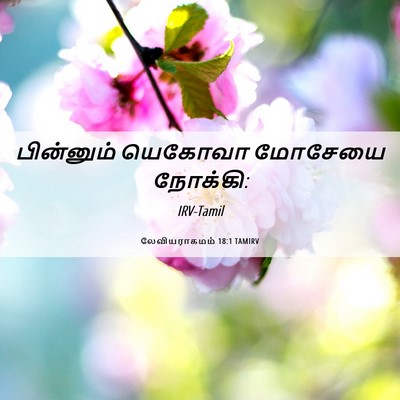 Picture 06 - லேவியராகமம் 18:1 TAMIRV - பின்னும் யெகோவா - Bible Verse Picture