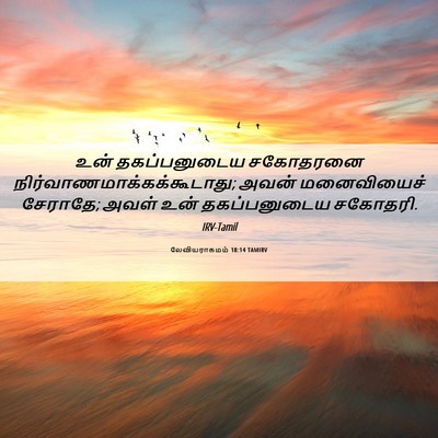 Picture 06 - லேவியராகமம் 18:14 TAMIRV - உன் தகப்பனுடைய - Bible Verse Picture