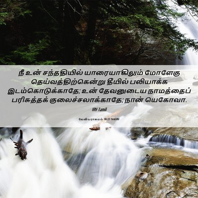 Picture 06 - லேவியராகமம் 18:21 TAMIRV - நீ உன் சந்ததியில் - Bible Verse Picture
