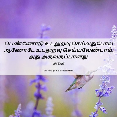 Picture 06 - லேவியராகமம் 18:22 TAMIRV - பெண்ணோடு உடலுறவு - Bible Verse Picture