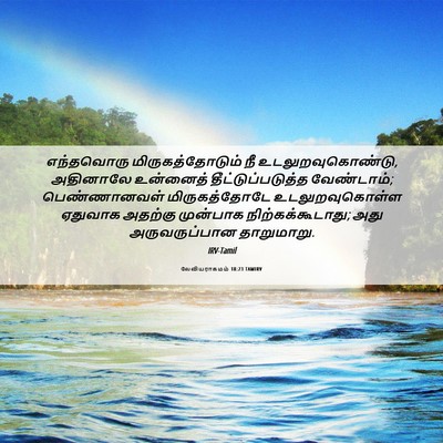 Picture 06 - லேவியராகமம் 18:23 TAMIRV - எந்தவொரு - Bible Verse Picture