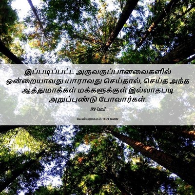 Picture 06 - லேவியராகமம் 18:29 TAMIRV - இப்படிப்பட்ட - Bible Verse Picture