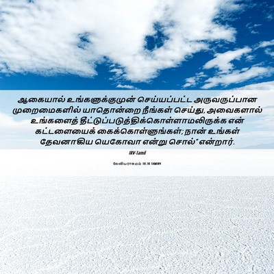 Picture 06 - லேவியராகமம் 18:30 TAMIRV - ஆகையால் - Bible Verse Picture