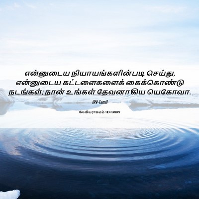 Picture 06 - லேவியராகமம் 18:4 TAMIRV - என்னுடைய - Bible Verse Picture