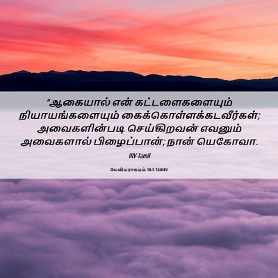 Picture 06 - லேவியராகமம் 18:5 TAMIRV - “ஆகையால் என் - Bible Verse Picture